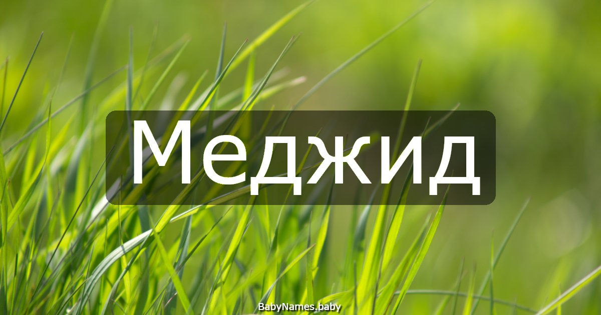 Меджид