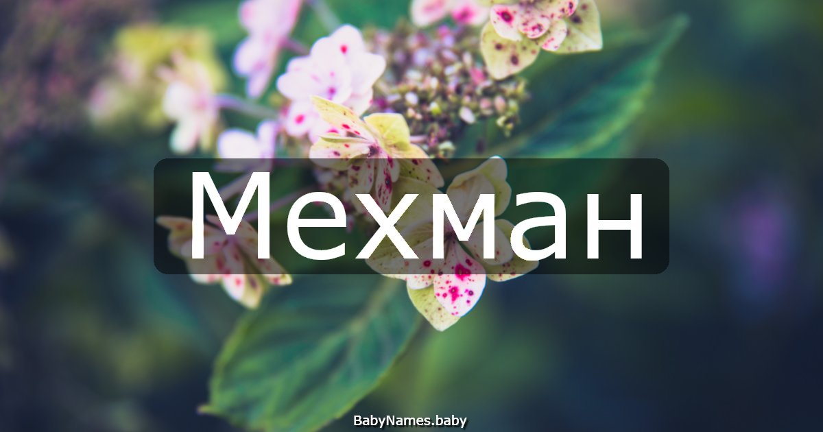 Мехман