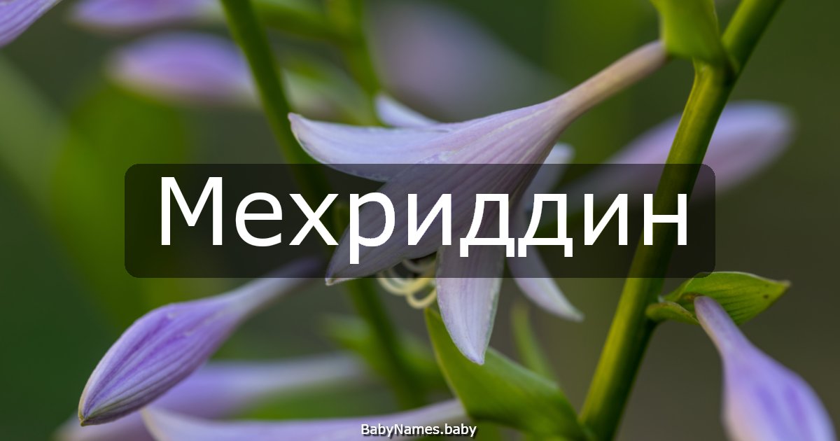 Мехриддин