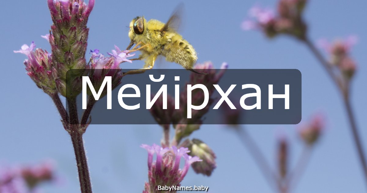 Мейірхан