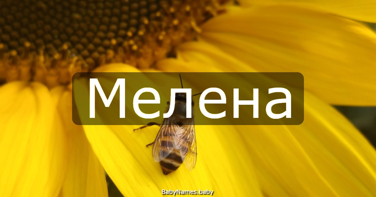 Мелена