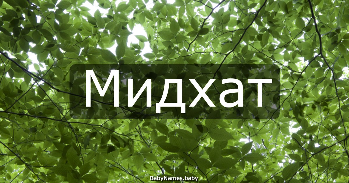 Мидхат