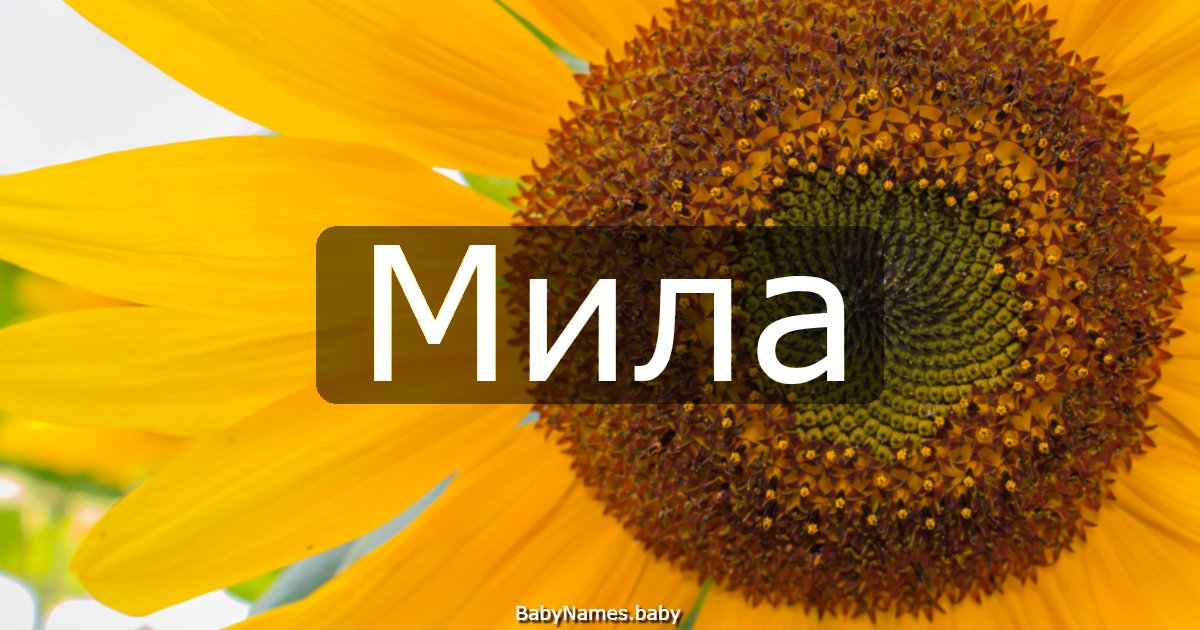 Мила