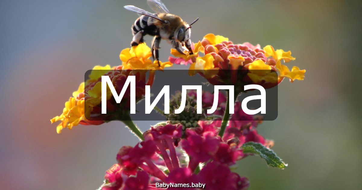 Милла