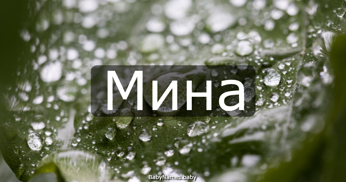Мина