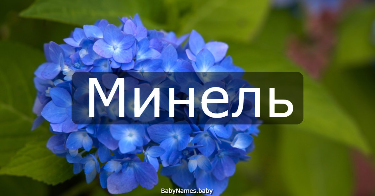 Минель