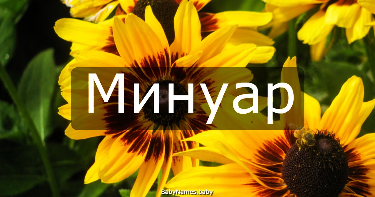 Минуар
