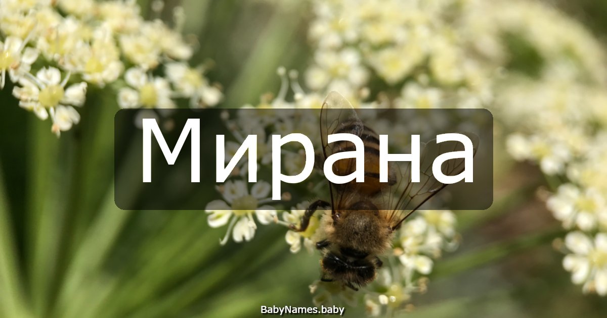 Мирана