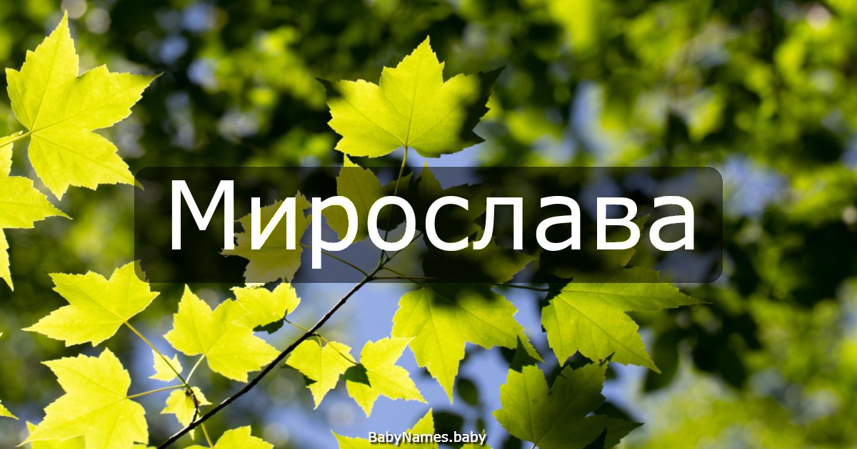 Мирослава