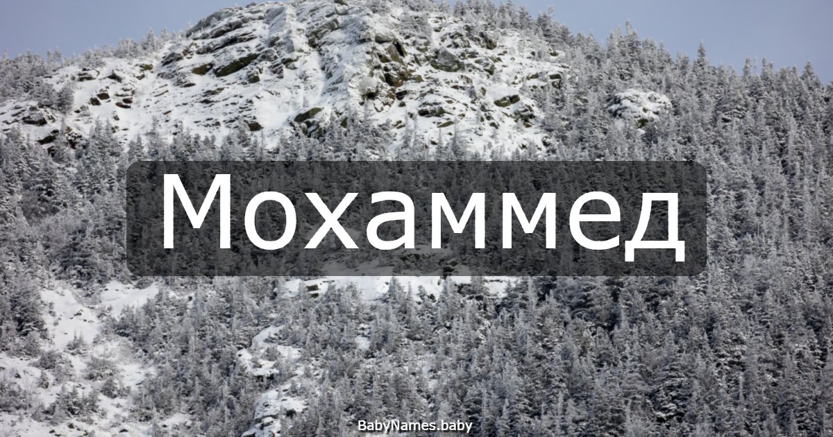 Мохаммед