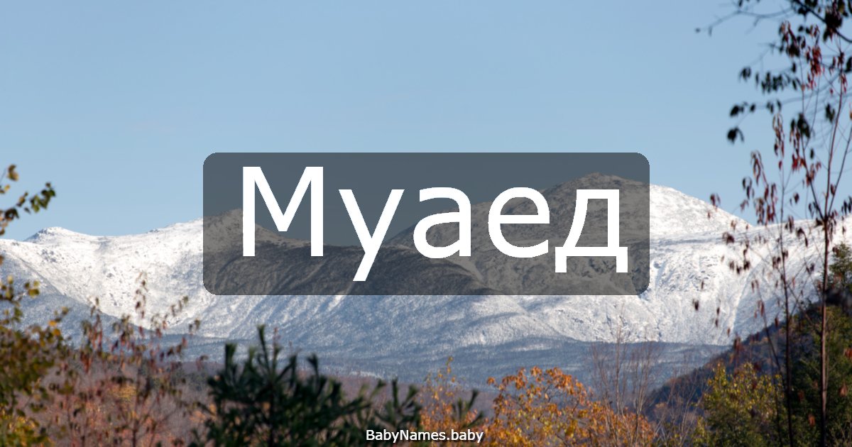 Муаед