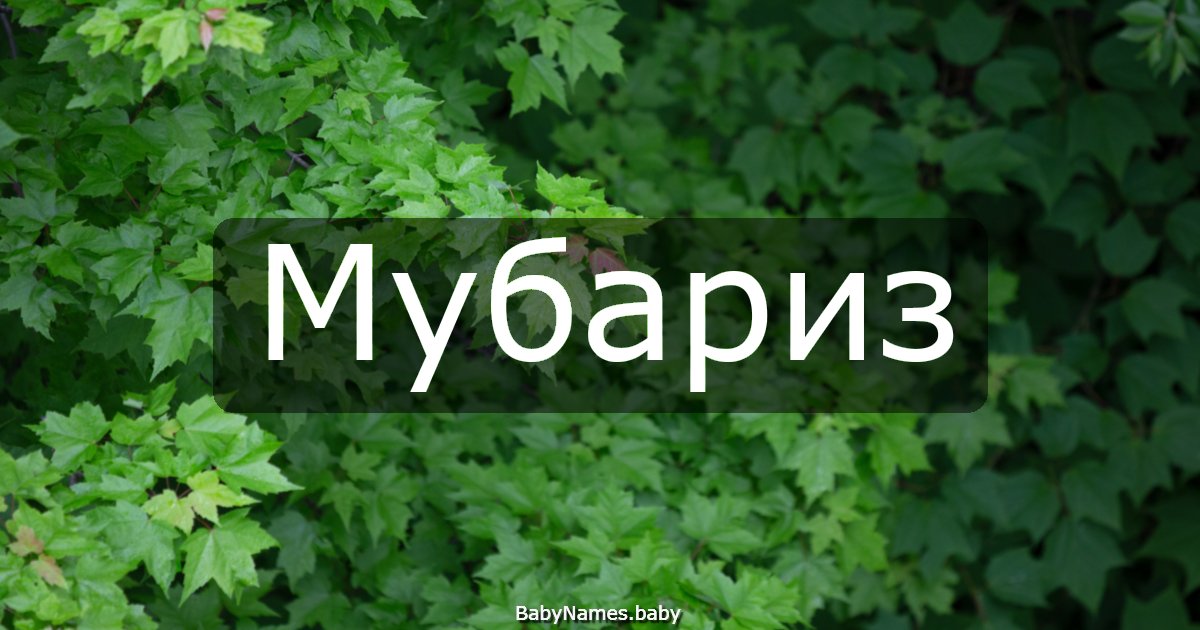 Мубариз
