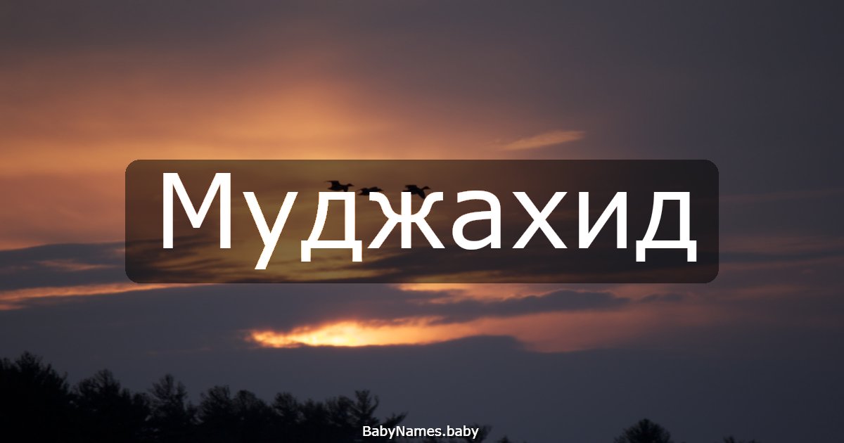 Муджахид