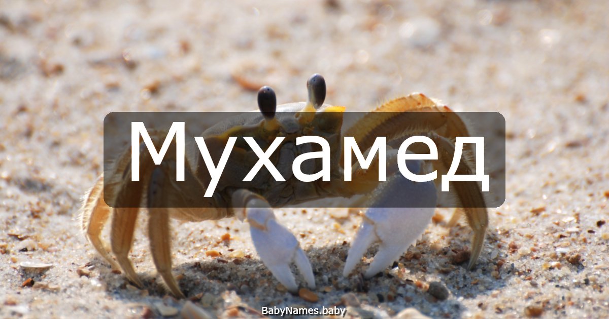 Мухамед