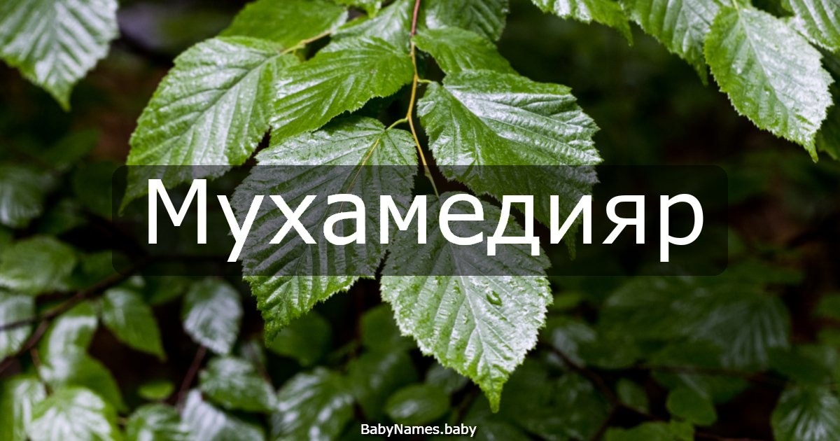 Мухамедияр