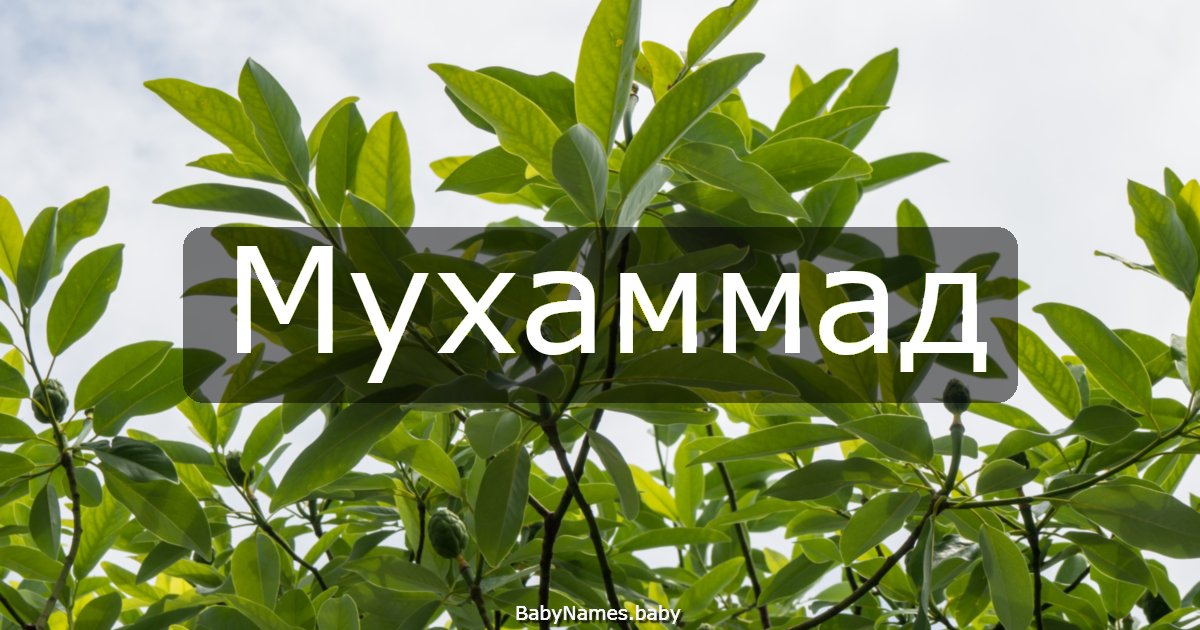 Мухаммад