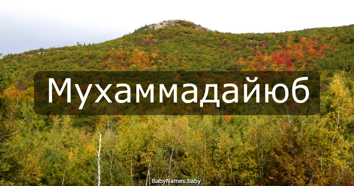 Мухаммадайюб