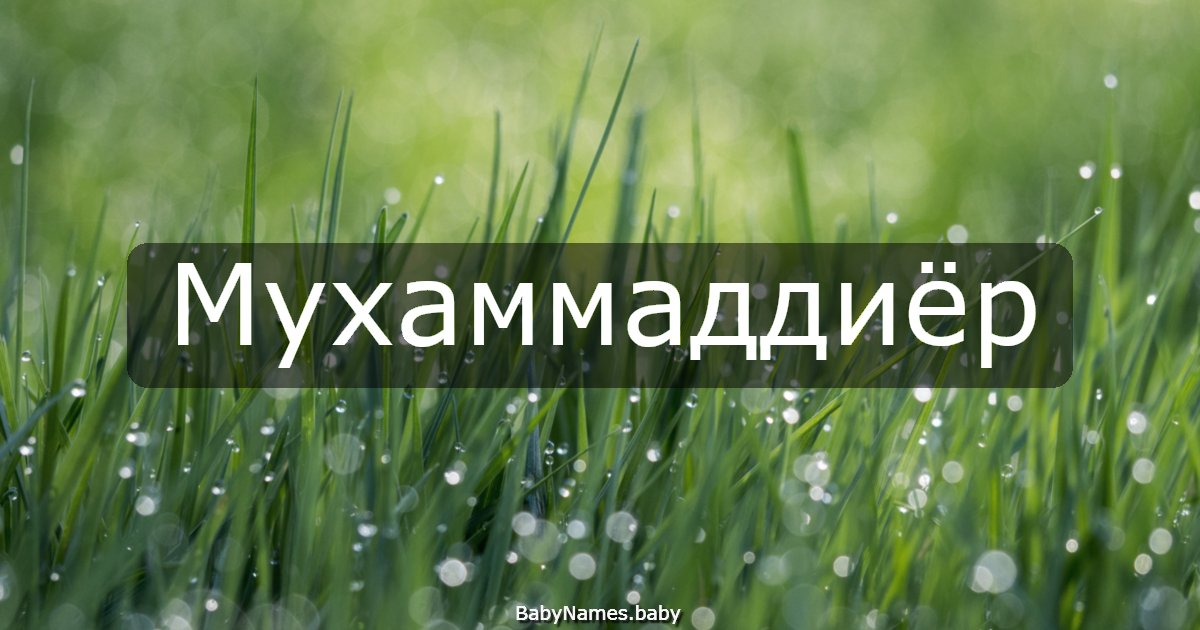 Мухаммаддиёр