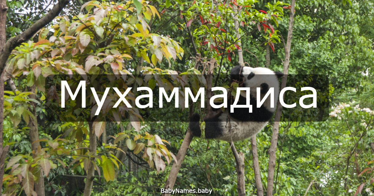 Мухаммадиса