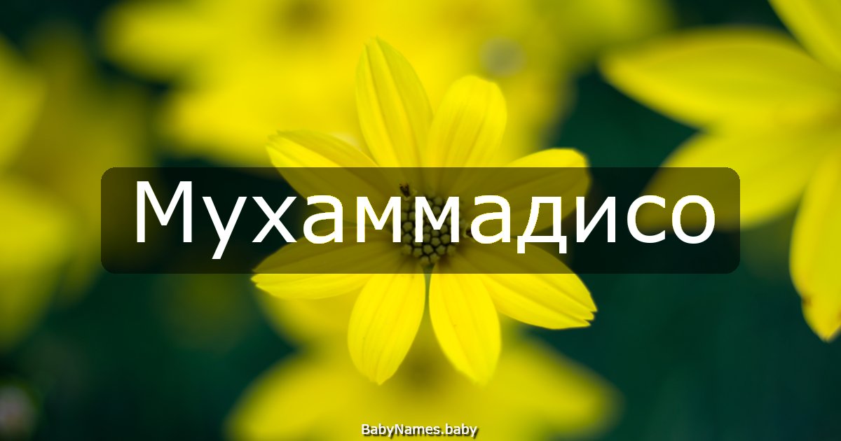 Мухаммадисо