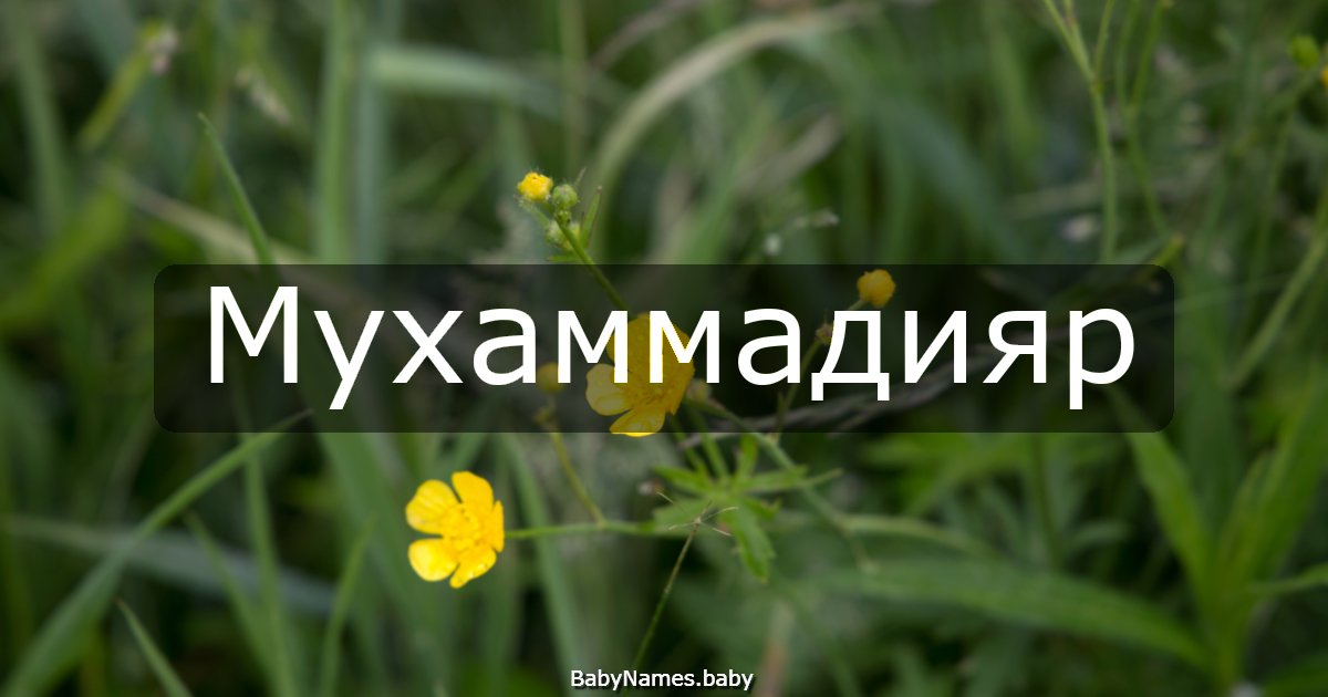 Мухаммадияр