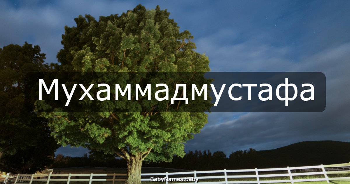 Мухаммадмустафа