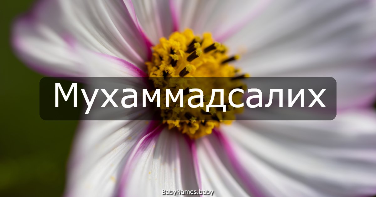 Мухаммадсалих