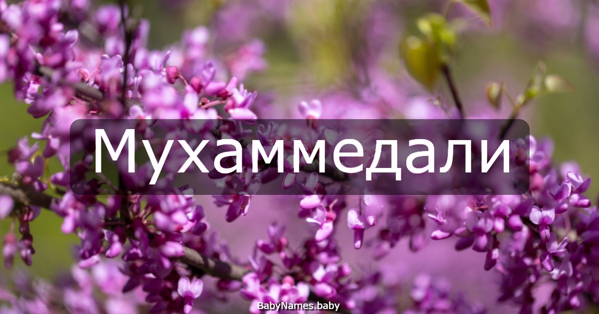 Мухаммедали