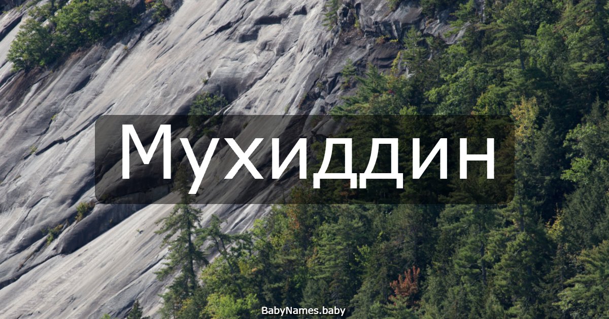 Мухиддин