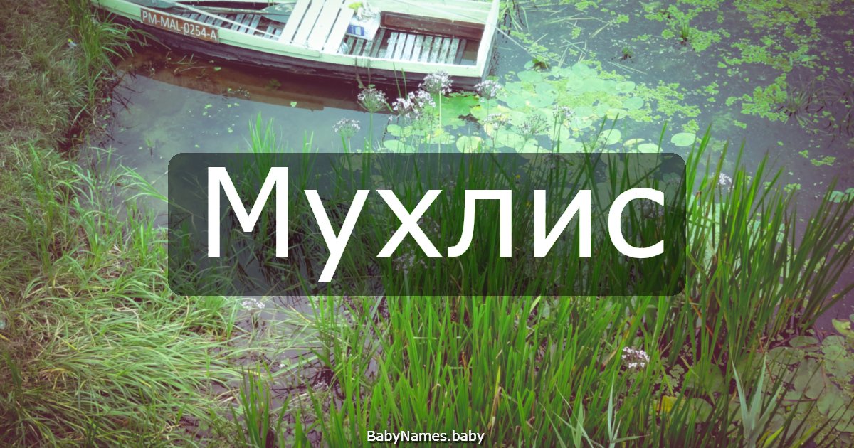 Мухлис