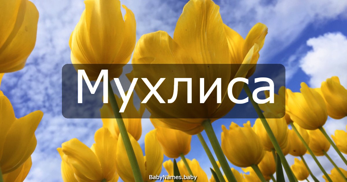 Мухлиса