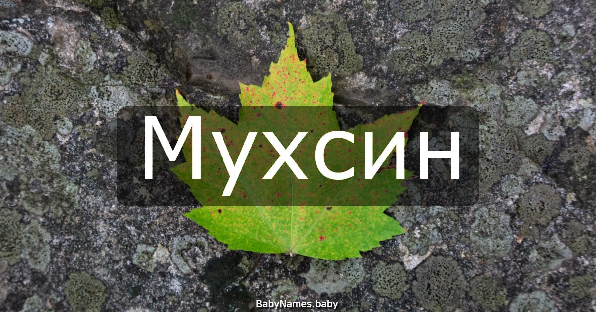 Мухсин