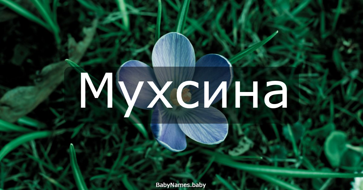 Мухсина