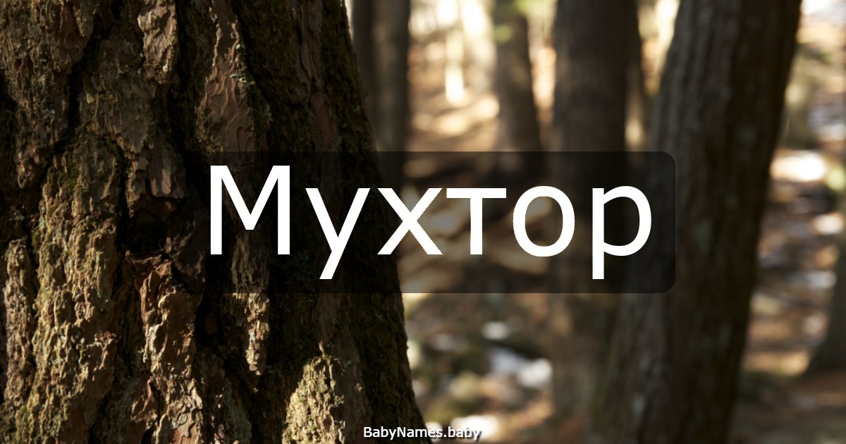 Мухтор