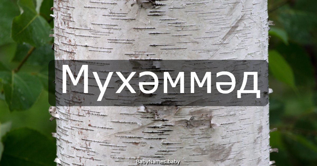 Мухәммәд