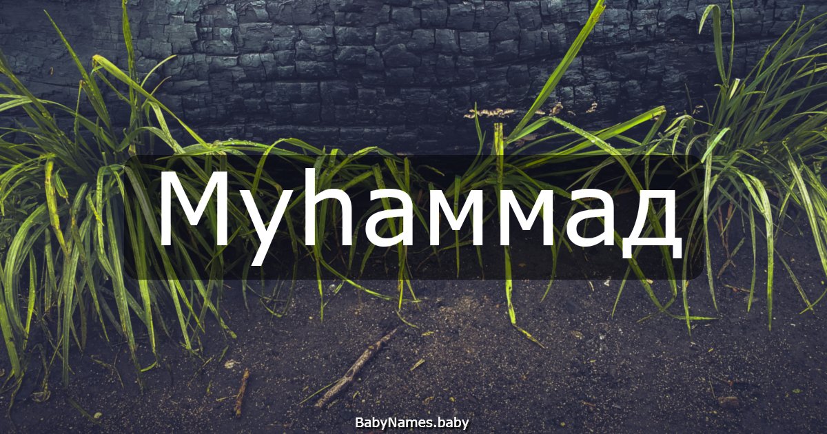 Муһаммад