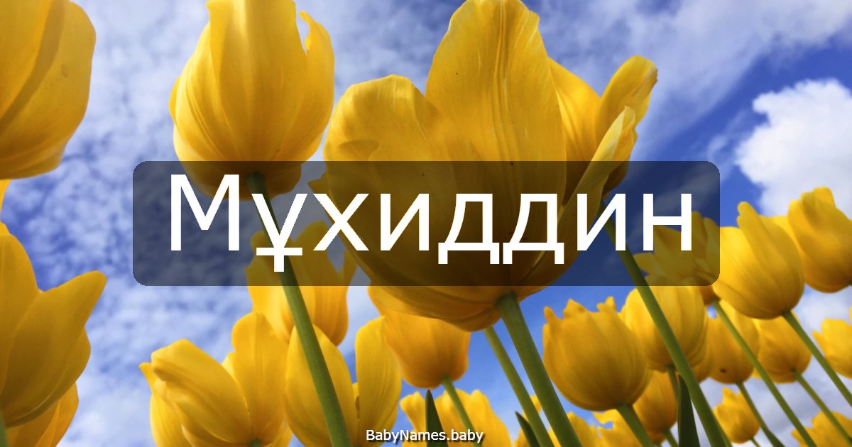 Мұхиддин