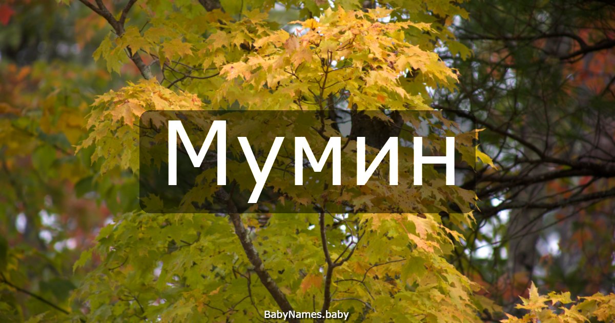 Мумин