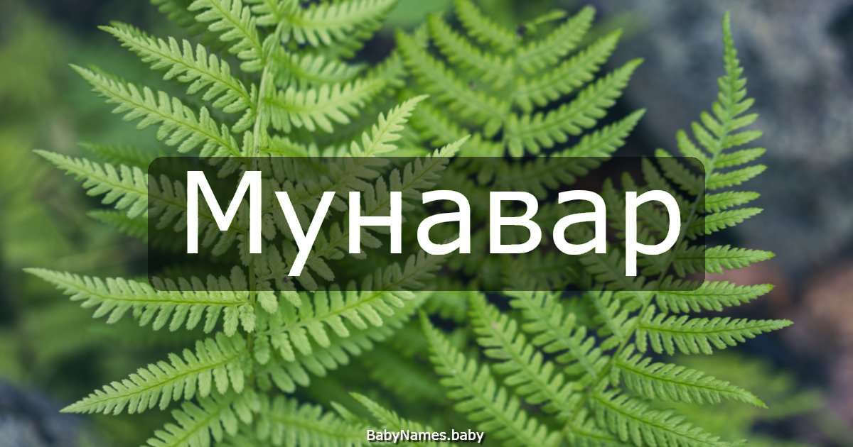 Мунавар