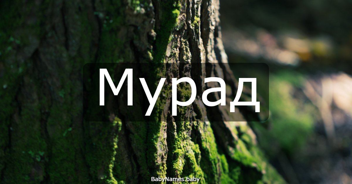 Мурад