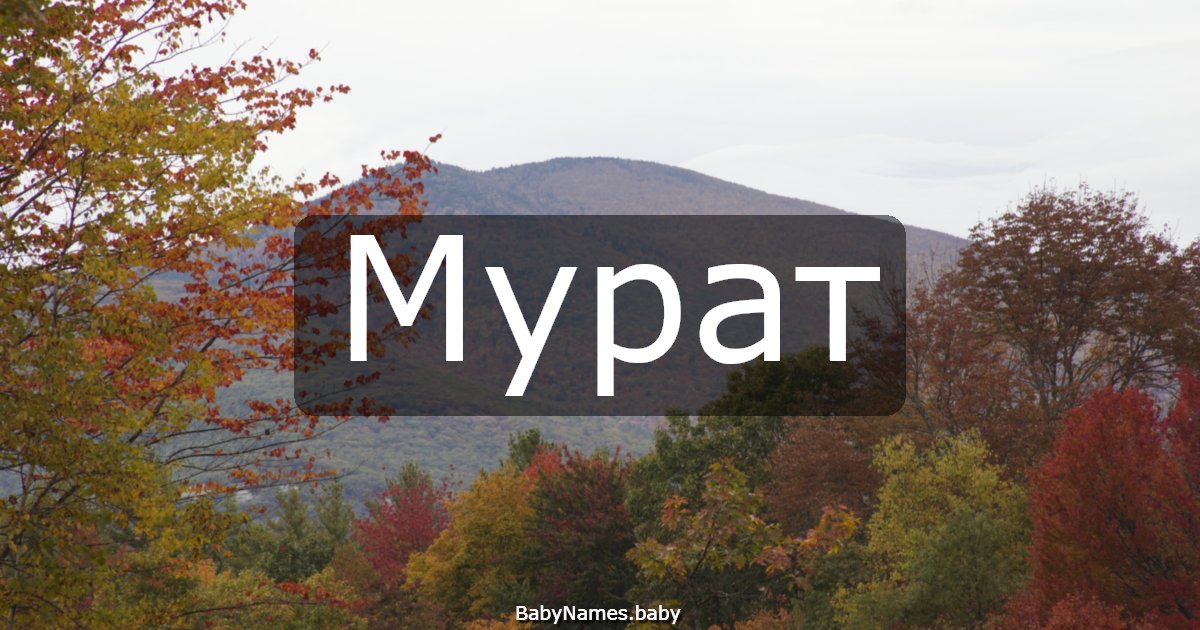 Мурат