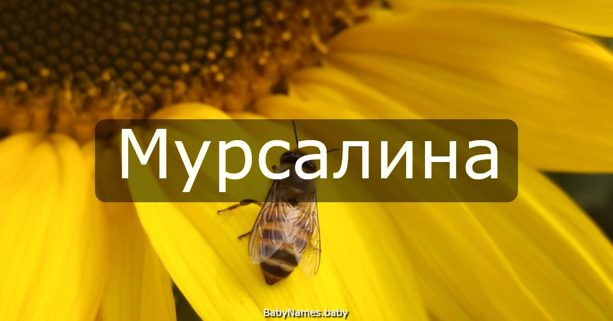 Мурсалина