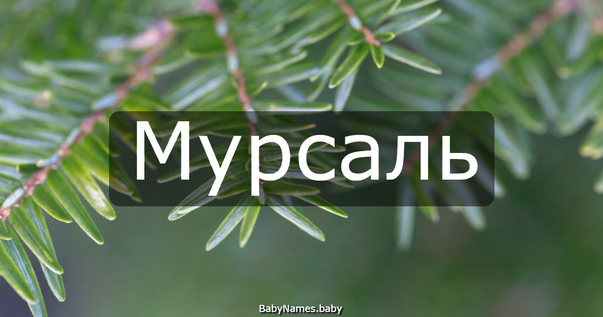 Мурсаль