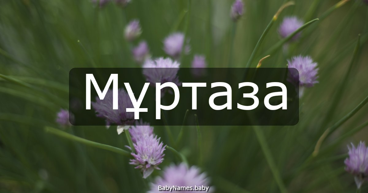 Мұртаза