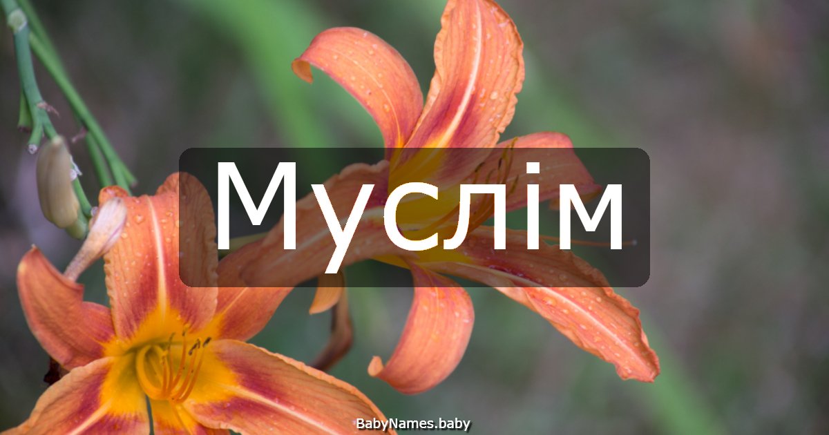 Муслім