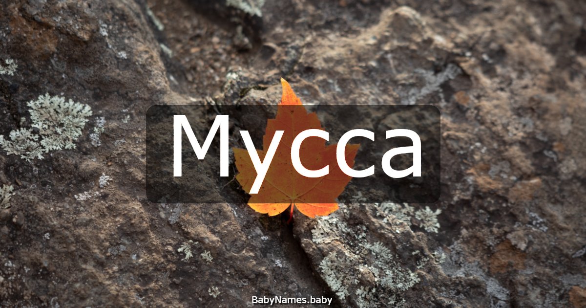 Мусса