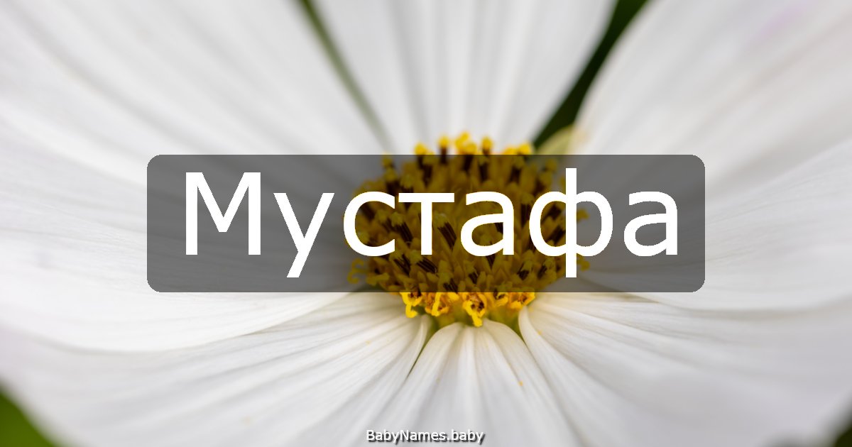 Мустафа