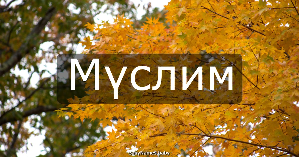 Мүслим