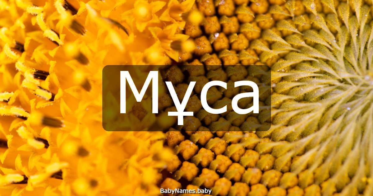 Мұса