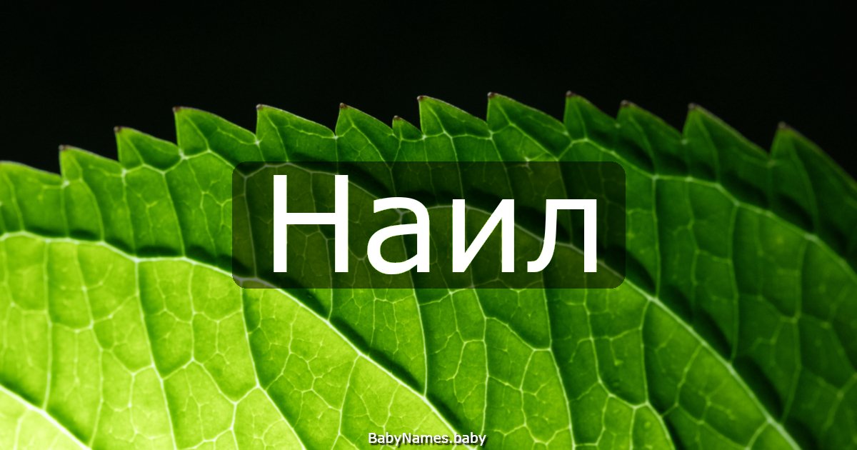Наил